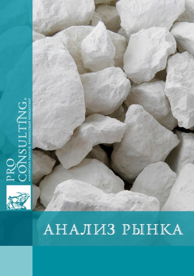 Анализ рынка каолина в Украине и мире. 2021 год